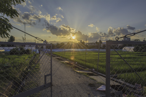 Kyoto University Agriculture School